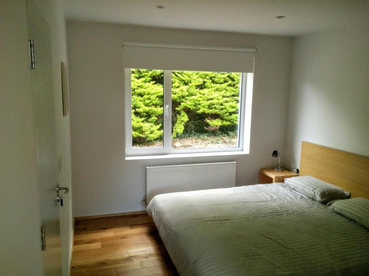 Spacious Contemporary Chalet Type Apartment. ゴールウェイ エクステリア 写真