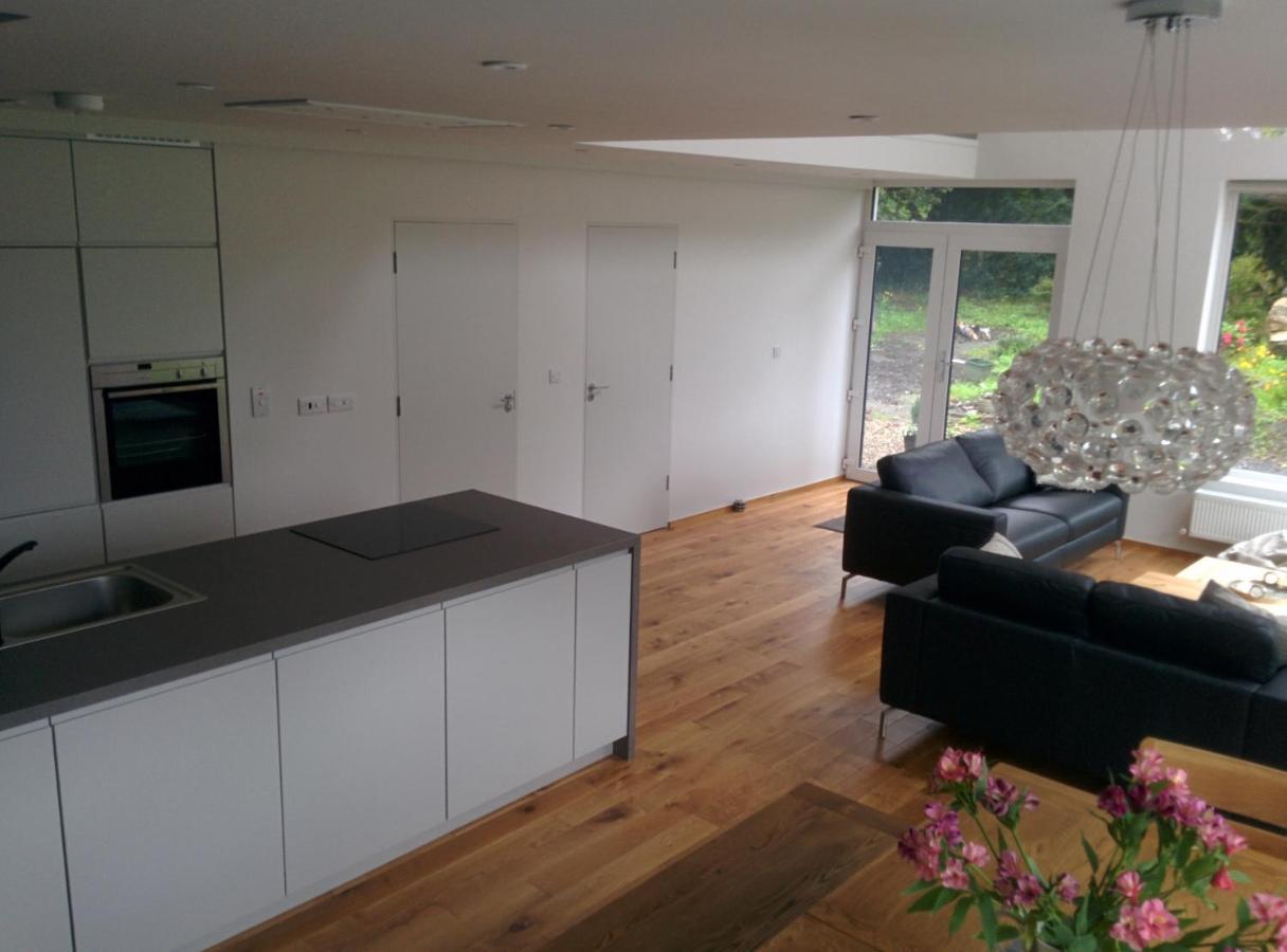 Spacious Contemporary Chalet Type Apartment. ゴールウェイ エクステリア 写真