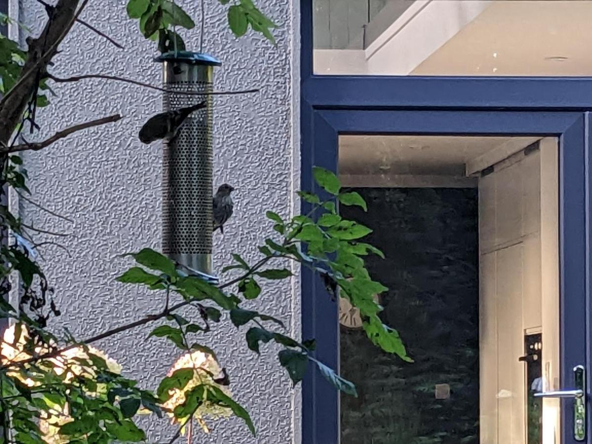 Spacious Contemporary Chalet Type Apartment. ゴールウェイ エクステリア 写真
